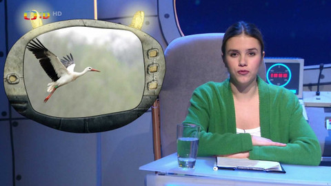 PLANETA YÓ - 12. března 2024