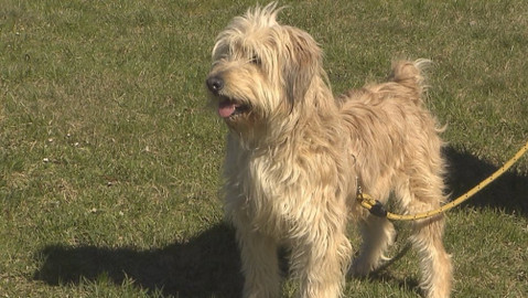 Chcete mě? - 17. dubna 2017