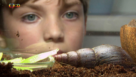 Terčin zvířecí svět - 15. listopadu 2024