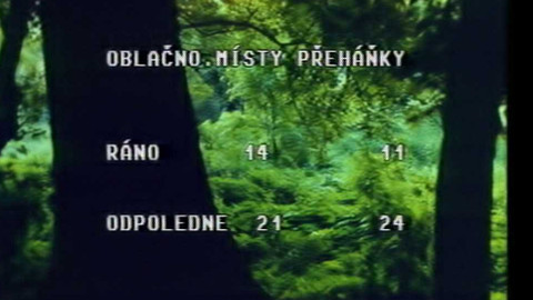 Archiv týdne - 11. srpen 1981: Houby rostou