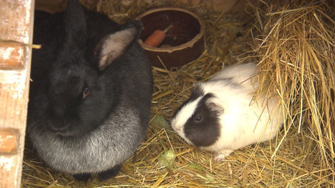 Chcete mě? - 15. prosince 2019