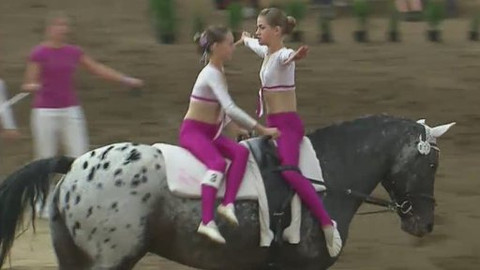 Jezdectví - M ČR ve voltiži