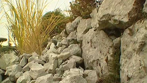 Zahrada je hra - 26. února 2006