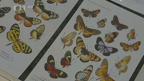 Wiadomości w języku polskim - 1. března 2020