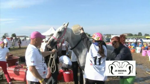 Jezdectví - ME juniorů a mladých jezdců 2014 Itálie