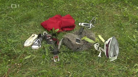 Černé ovce - 24. listopadu 2022