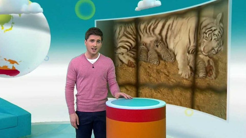 Zprávičky - 6. dubna 2017