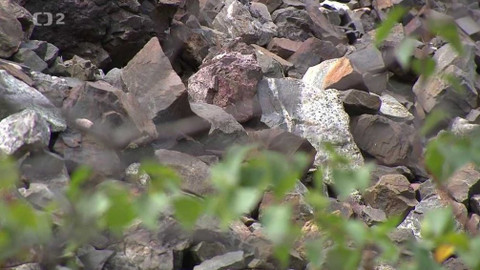 Nedej se! - Mimořádný záměr