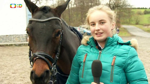 Lvíčata - 2. prosince 2017