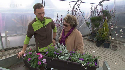 Hobby naší doby - 28. května 2022