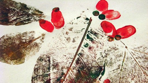 Šikulové - 20. listopadu 2008