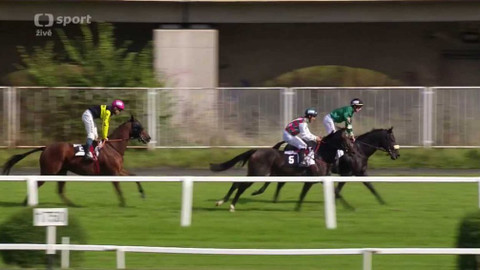 Jezdectví - Evropský pohár žokejů 2016