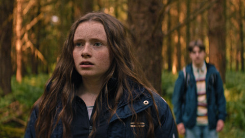 Silverpoint - Oklika