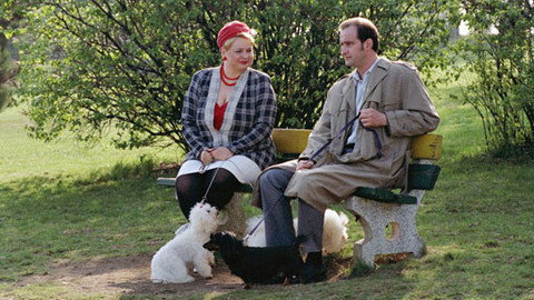 Bakaláři - Intuice