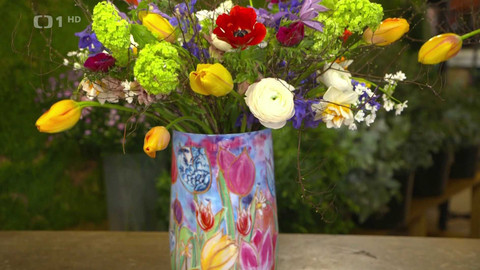 Hobby naší doby - 14. března