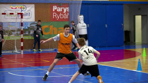 Lvíčata - 15. března