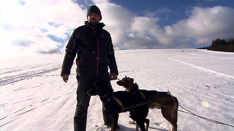 Kvarteto - 27. března 2013