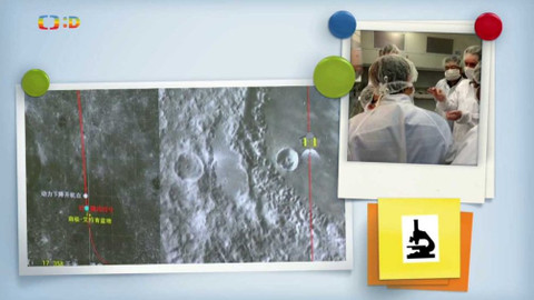 Zprávičky - 20. ledna 2019