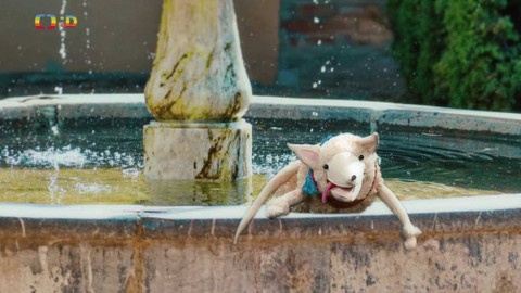 Hola niňos - Ztratil jsem se