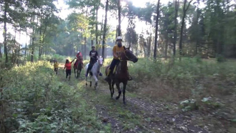 Jezdectví - M ČR v jezdecké vytrvalosti juniorů a mladých jezdců 2015 Kolesa