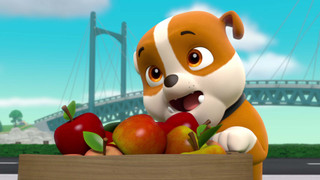 Tlapková patrola IV