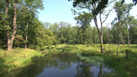 Nedej se! - Moravská Amazonie