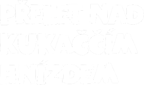 Přelet nad kukaččím hnízdem