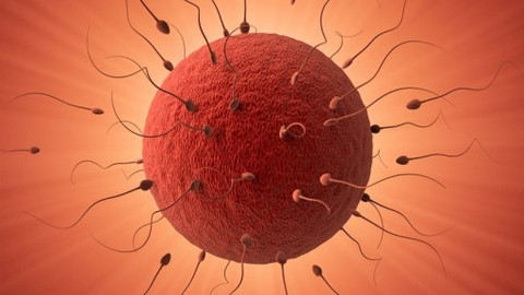 Divadlo Kampa - Duše K