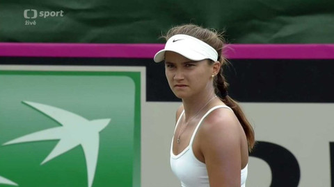 Fed Cup 2017 - USA - Česko