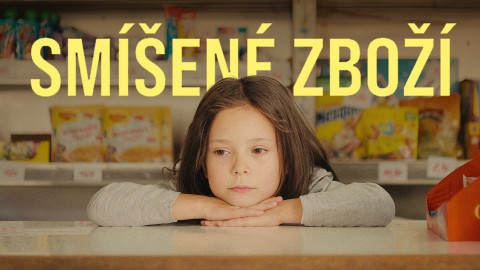 Smíšené zboží
