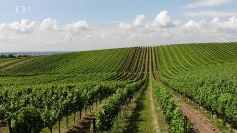 Gejzír - 11. října 2018