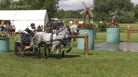Jezdectví - Mistrovství České republiky spřežení Tlumačov