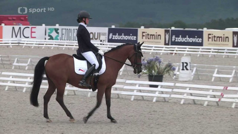 Jezdectví - M ČR v drezuře a ve skocích dětí na ponících Zduchovice
