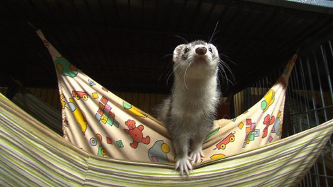 Chcete mě? - 22. listopadu 2020