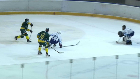 Univerzitní liga ledního hokeje - ČZU Farmers Prague - ZČU Akademici Plzeň