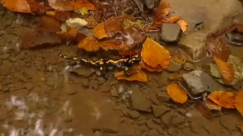 Přidej se - Geomorfologie Beskyd