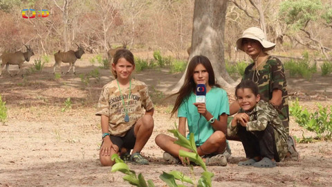 Zprávičky - 29. ledna