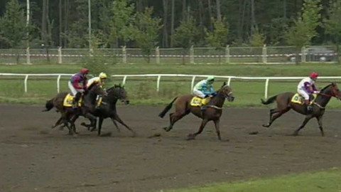 Velká pardubická - 2000