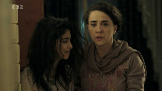 Fauda III