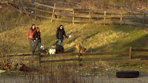 Chcete mě? - 11. prosince 2011