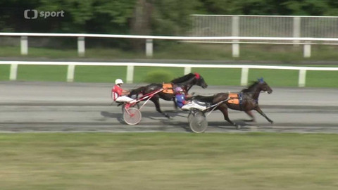 Jezdectví - Tipsport Klusácké derby 2020