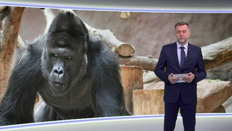 Horizont ČT24 - 26. ledna 2022