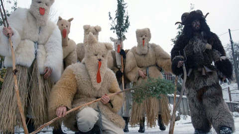 Herbář - 6. prosince 2020