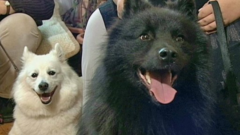 Mezi námi zvířaty - 22. listopadu 2008