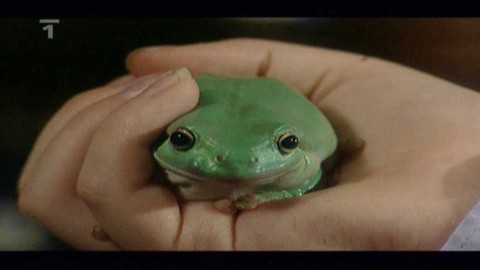 Hřiště 7 - 3. května 2009