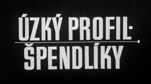 Úzký profil - Špendlíky