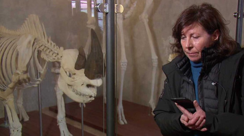 Nedej se! - Kostlivci v ústecké ZOO