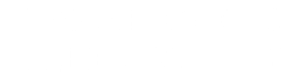 Vídeňská secese a její mecenáši