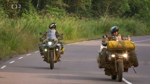 Po jedné stopě - 10/18 Zvířata bez hranic