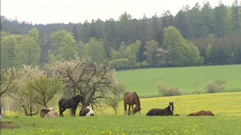 Nedej se! - Administrativa farmářů
